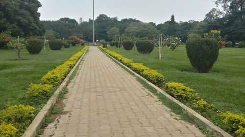 Footpath leading to field