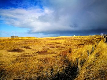 Scenic view of agricultural field against sky