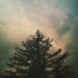 Low angle view of trees against cloudy sky