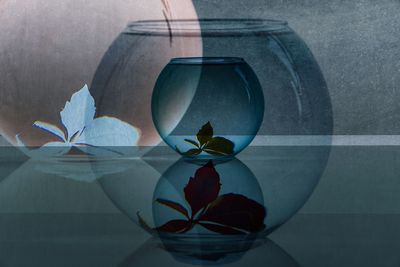 Double exposure image of plant leaf in glass bowl