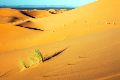 Sand dune in desert against sky