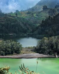 Scenic view of lake and trees against sky