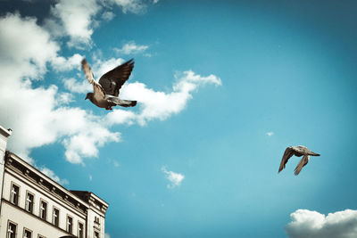 Low angle view of seagulls flying against cloudy sky