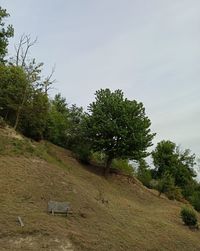 Trees on field against sky