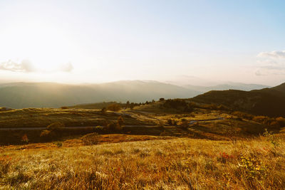 Scenic view of field against clear sky