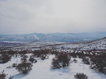Scenic view of snow covered landscape against sky
