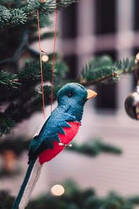 Close-up of parrot perching on tree