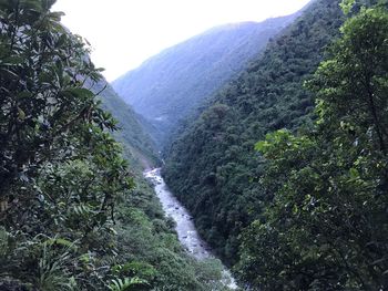 Scenic view of waterfall