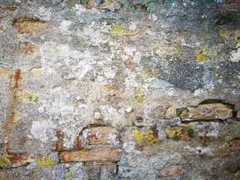 Full frame shot of brick wall