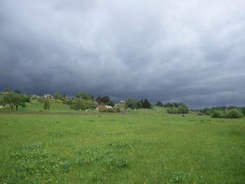 Scenic view of grassy field against cloudy sky