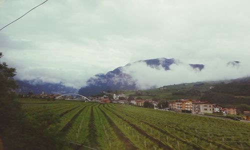 Scenic view of field against cloudy sky