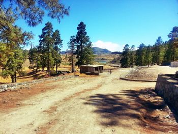 Dirt road amidst trees against blue sky