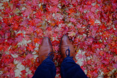 Low section of man standing on field surrounded by fallen autumn leaves