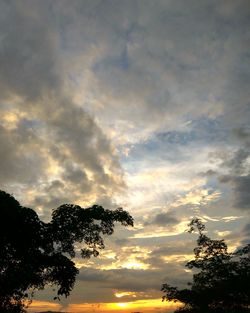 Low angle view of silhouette tree against sky