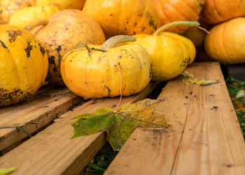 Close-up of pumpkin