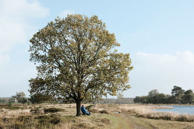 Tree on field against sky