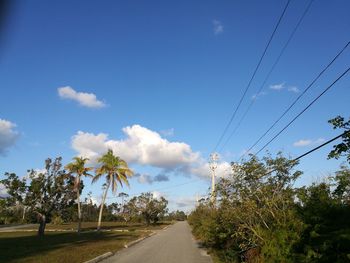 Road amidst trees against blue sky