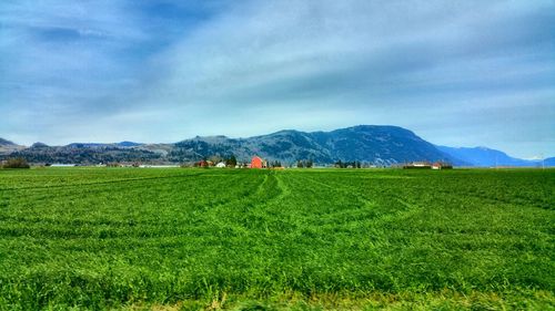 Scenic view of grassy field against cloudy sky