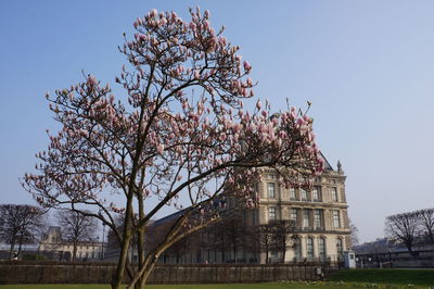 Low angle view of historical building