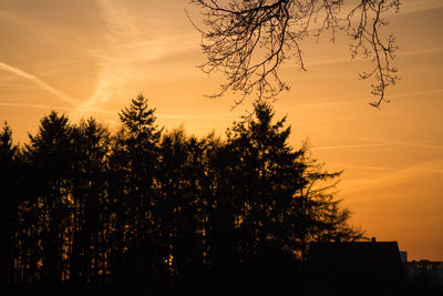 Trees against sky during sunset