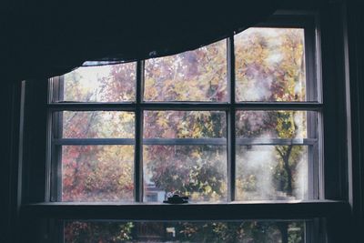 View of window