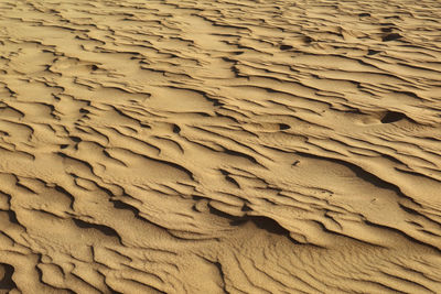 Huacachina desert in ica region of peru, south america