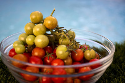 Close-up of tomatoes in bowl on table