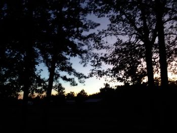 Silhouette trees on landscape against sky at sunset