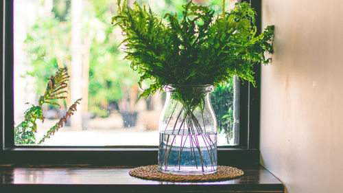 Green fern leaves in glass vase decorate next glass window