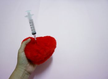 Close-up of hand holding red over white background