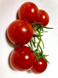 Close-up of cherry tomatoes