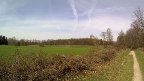 Scenic view of field against sky