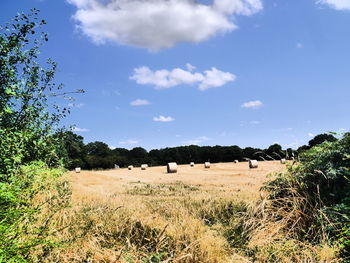 Scenic view of field against sky