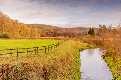 Dutch countryside landscape, small stream, wooden fence and bare autumn trees in the background