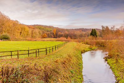 Scenic view of field against sky during autumn