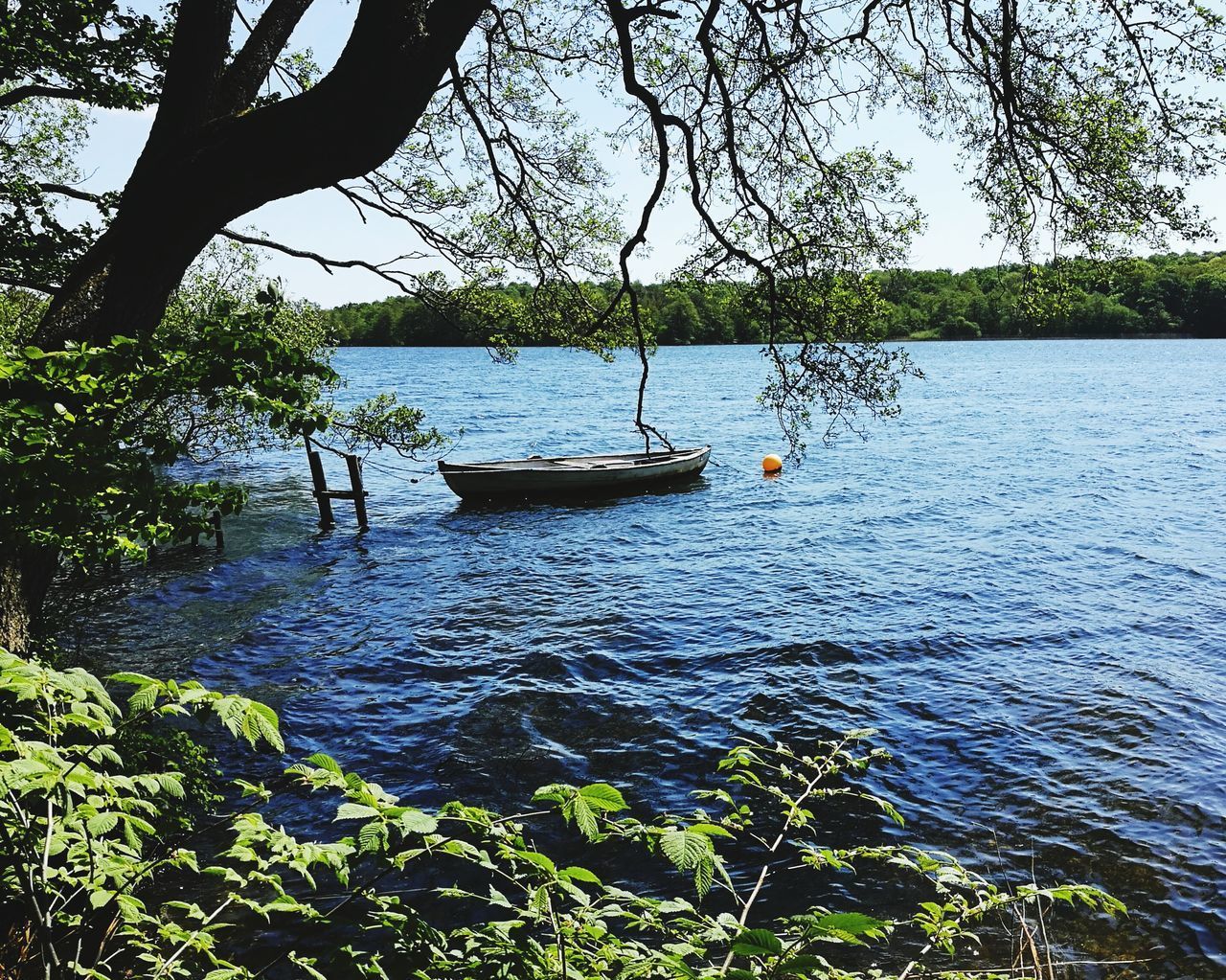 BOAT ON RIVER AGAINST TREES