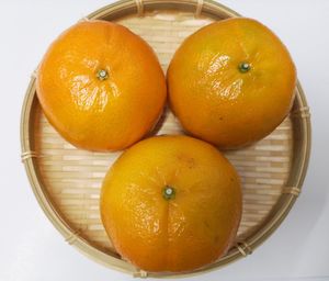 High angle view of orange fruit on table