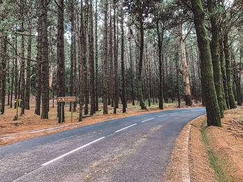 Empty road along trees in forest