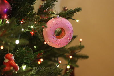 Close-up of christmas tree