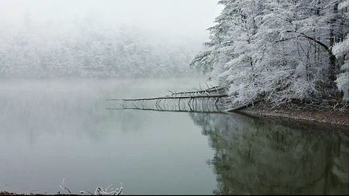 Scenic view of lake in foggy weather