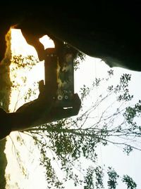 Low angle view of man on tree against sky