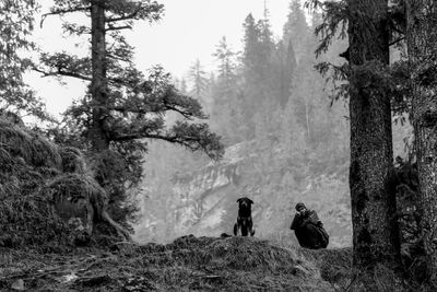 Man with dog on field against trees at forest