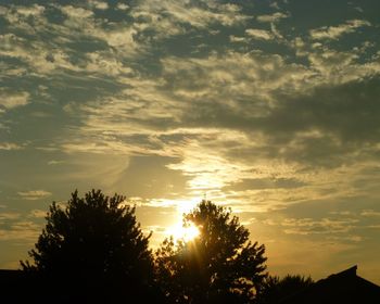 Low angle view of silhouette trees against sky during sunset