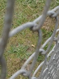 Close-up of grass on field