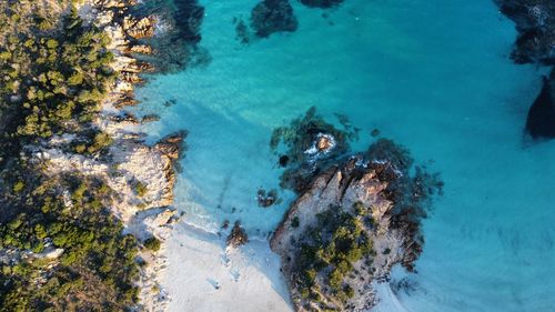 High angle view of man swimming in sea