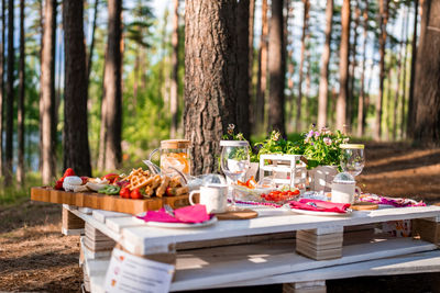 Picnic in the nature, table, carpets, wigwam, tent, pillows in the park.