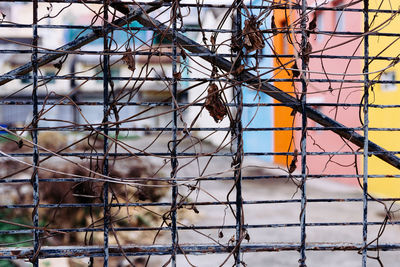 View of through chainlink fence