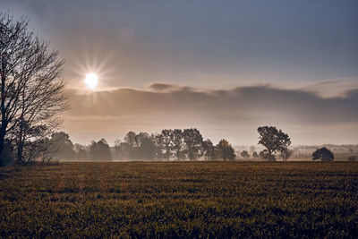 Scenic view of field against sky