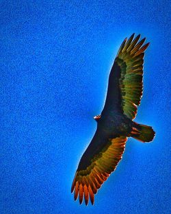 Low angle view of bird flying against blue sky