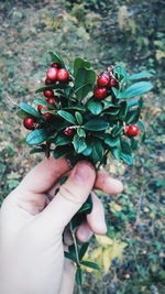 Close-up of cropped hand